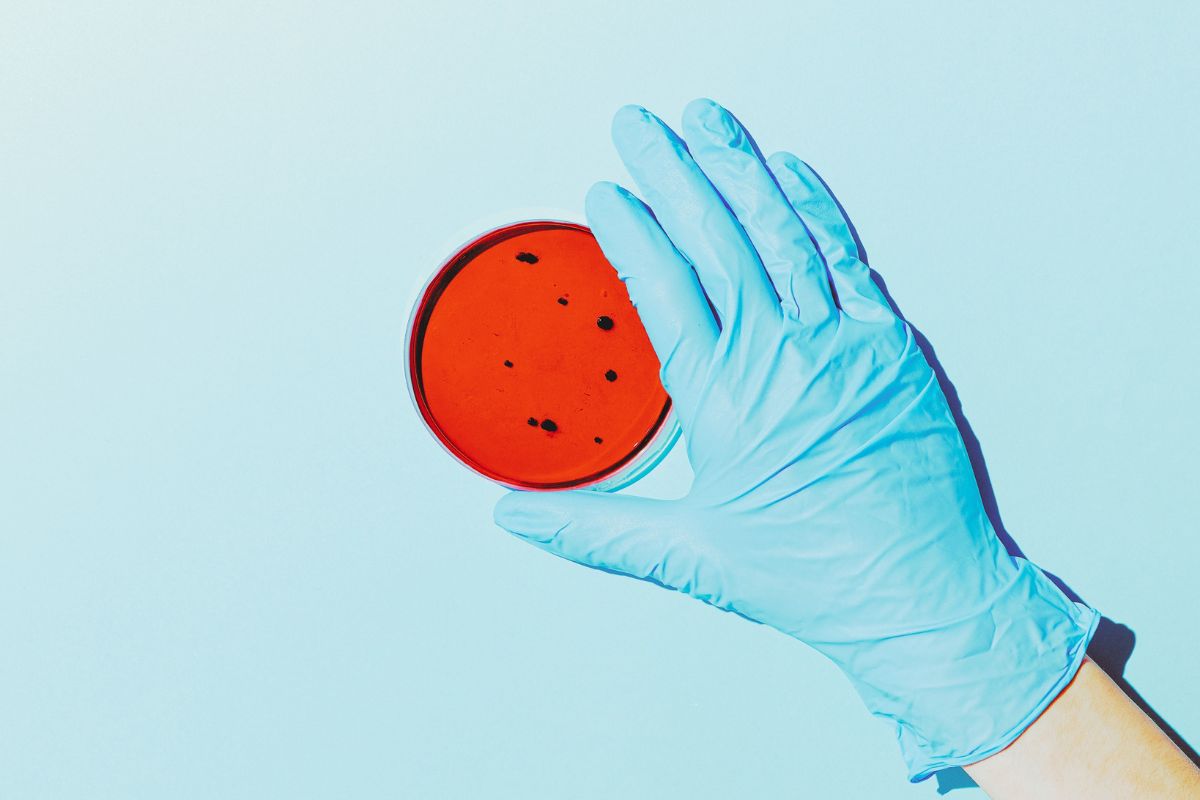 Tendencias en la microbiología aplicada a la industria de alimentos [grabación]
