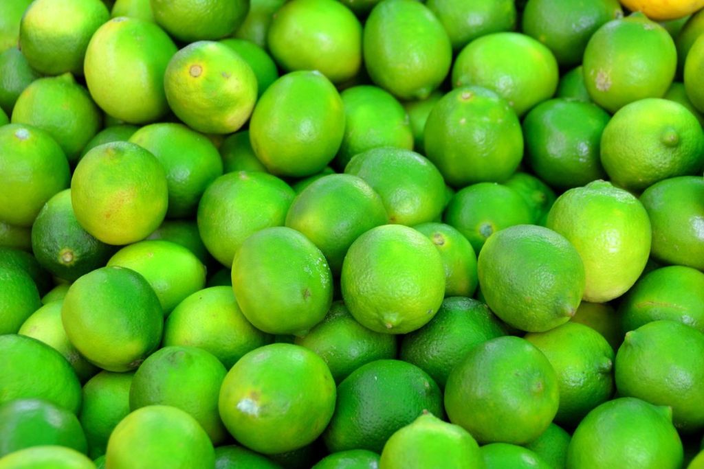 Tips sobre inocuidad alimentaria [junio 2022]