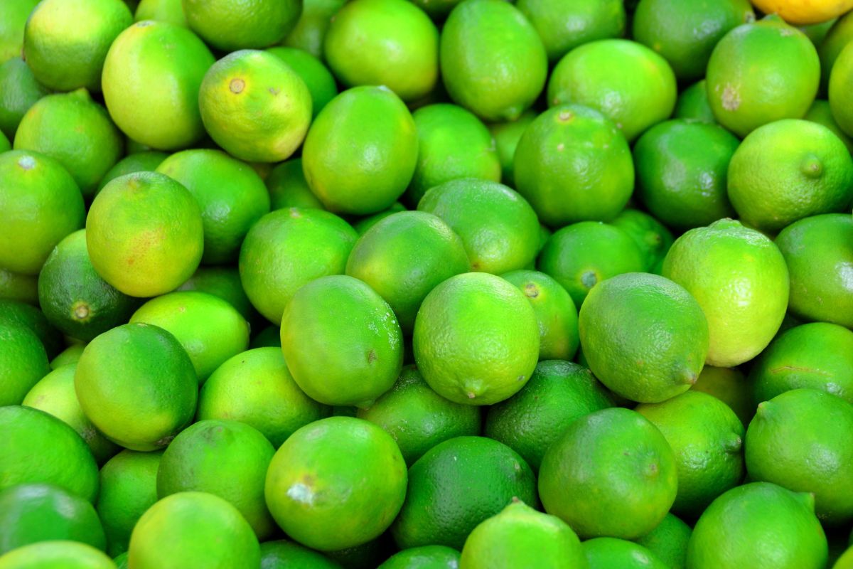 Tips sobre inocuidad alimentaria [junio 2022]