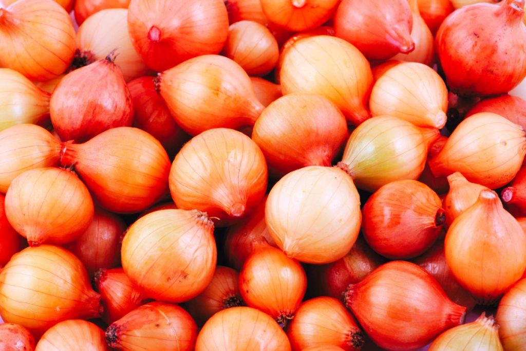 Tips sobre inocuidad alimentaria [julio 2022]