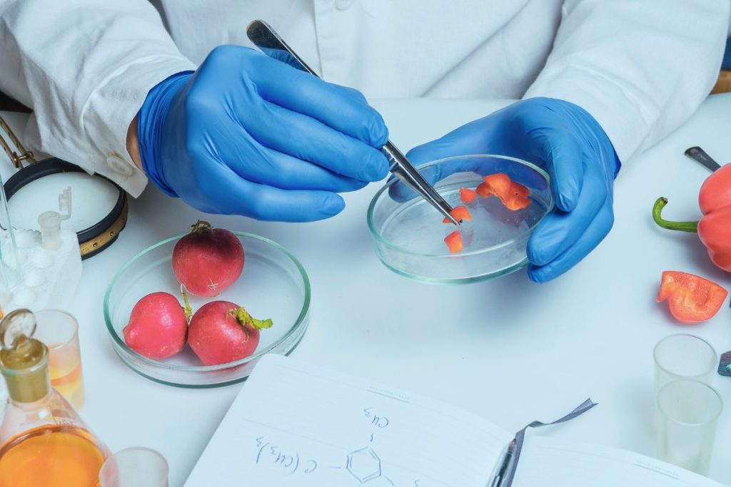 Fraude Alimentario: extracto y traducción de FSSC Insights Webinar