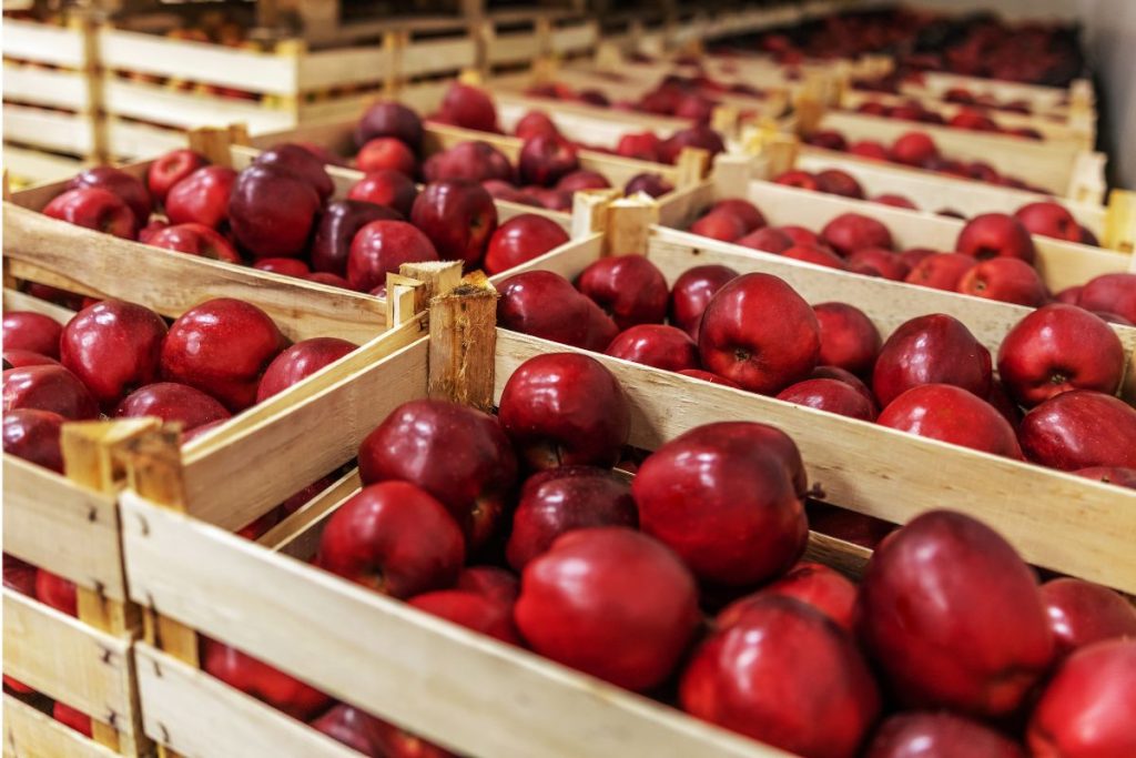 Muestreo de productos: ¿cuántas muestras debo tomar?