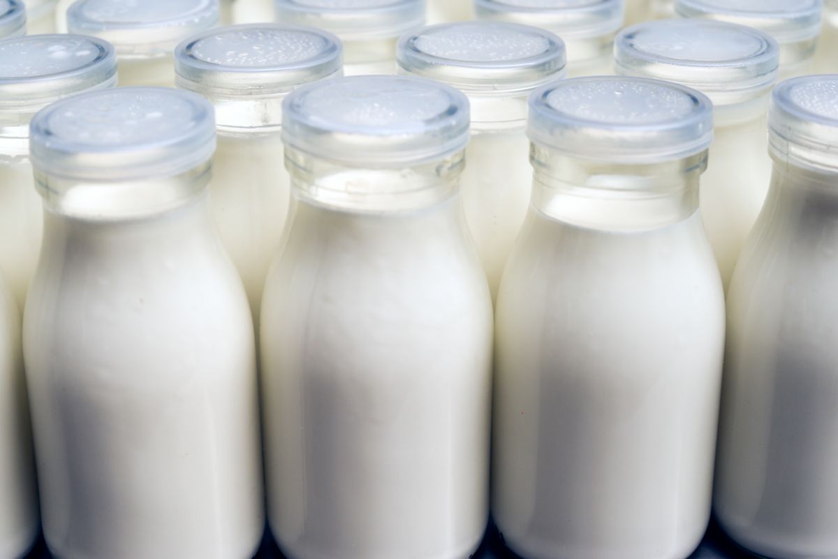 Tips sobre inocuidad alimentaria [noviembre 2022]