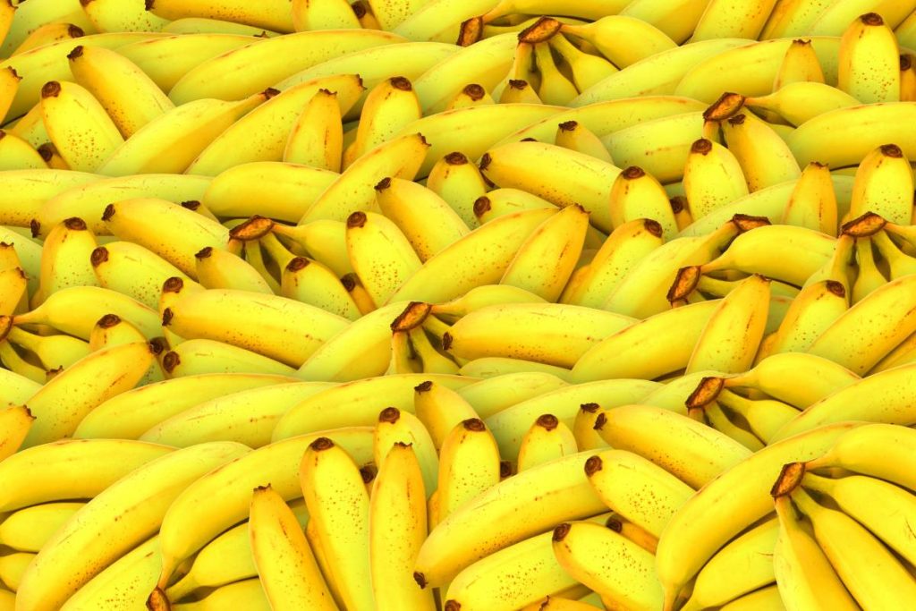Tips sobre inocuidad alimentaria [abril 2023]