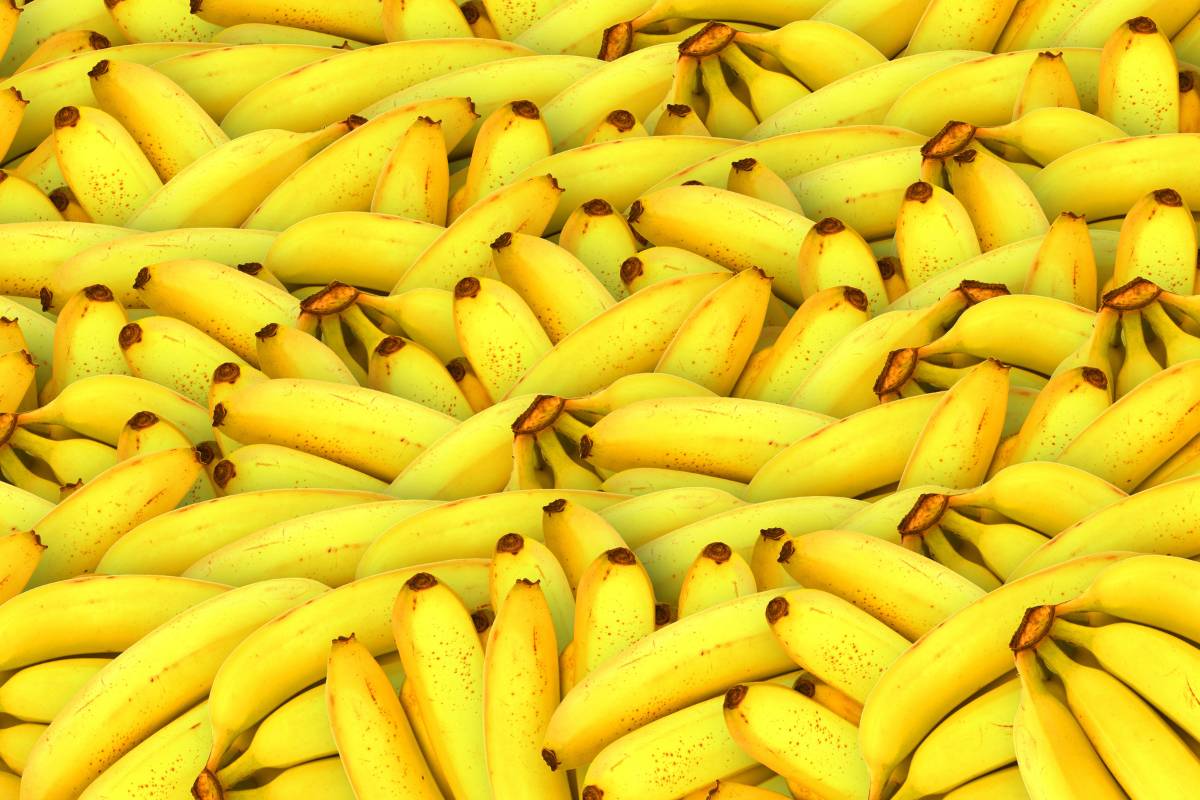 Tips sobre inocuidad alimentaria [abril 2023]