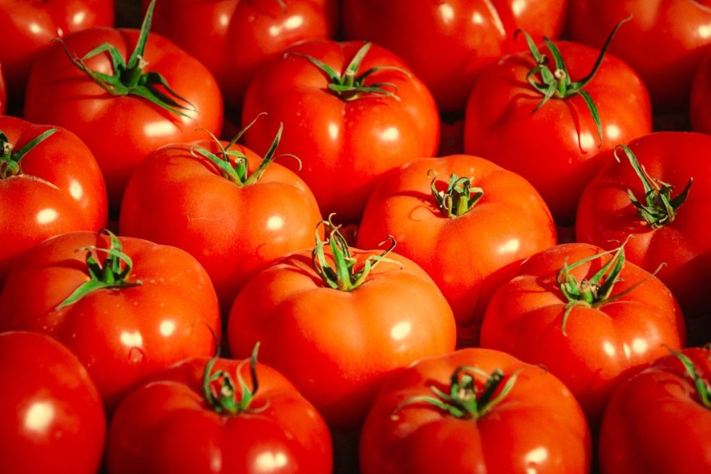 Tips sobre inocuidad alimentaria [marzo 2023]