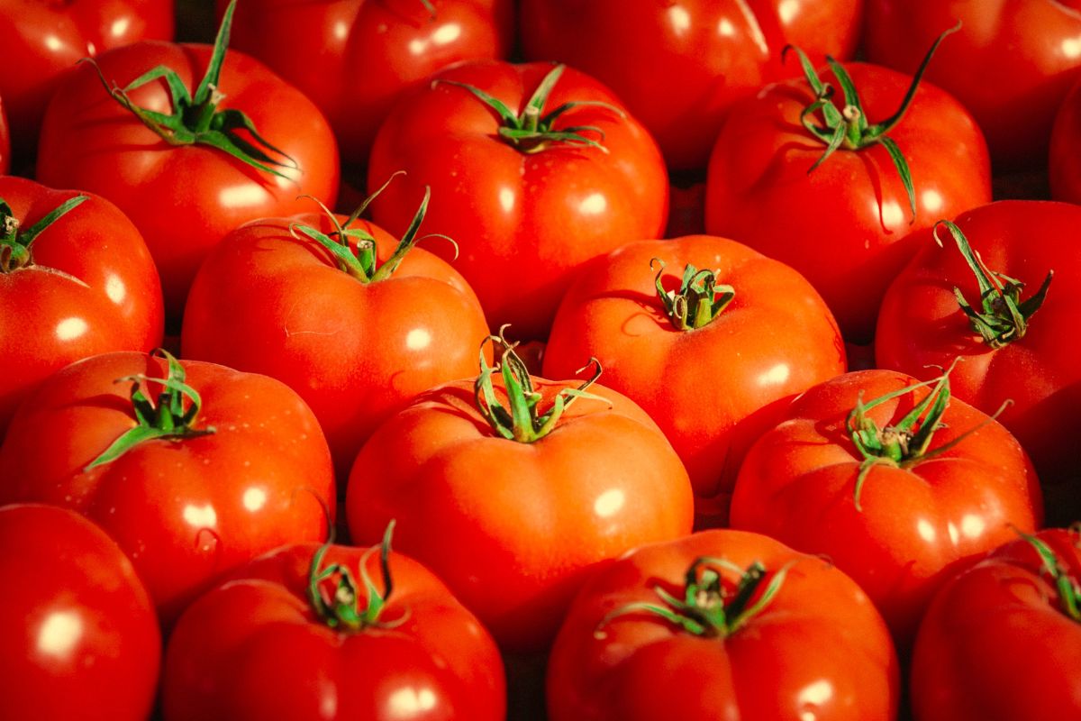 Tips sobre inocuidad alimentaria [marzo 2023]