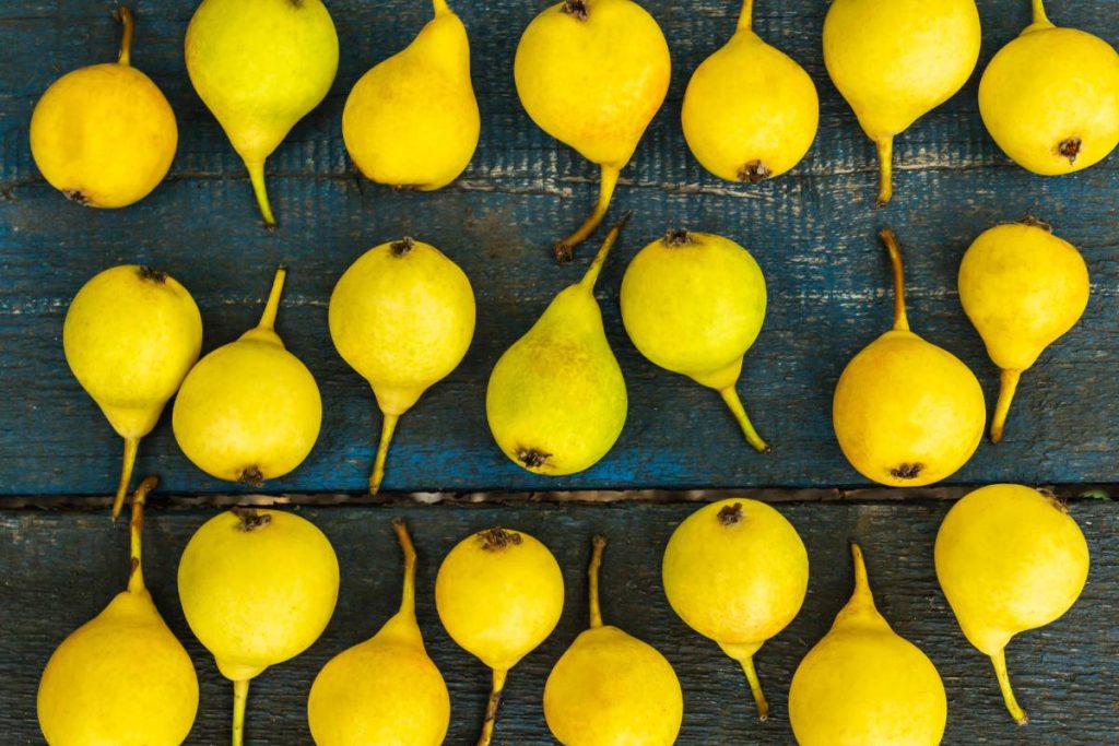 Tips sobre inocuidad alimentaria [mayo 2023]