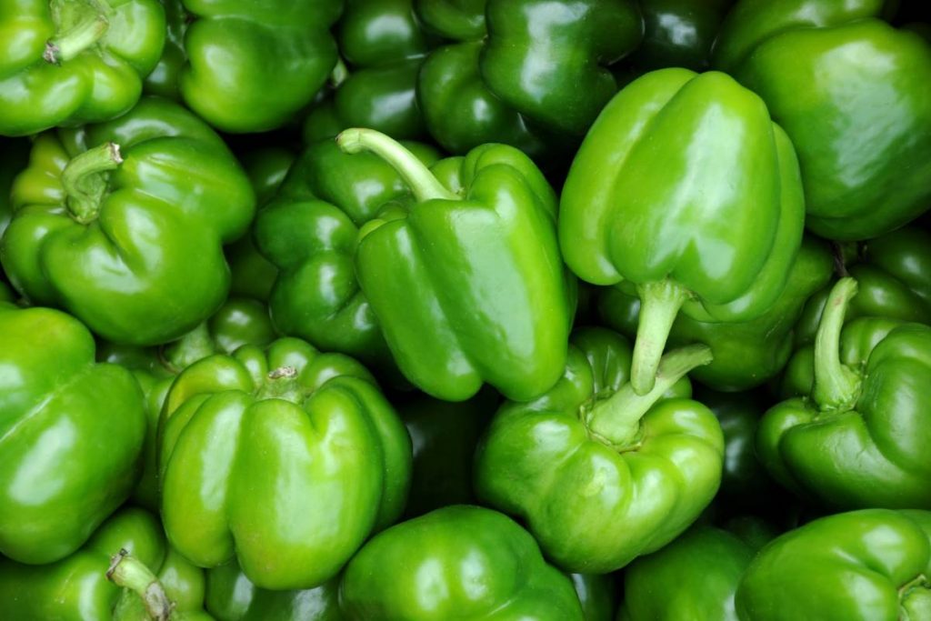 Tips sobre inocuidad alimentaria [julio 2023]