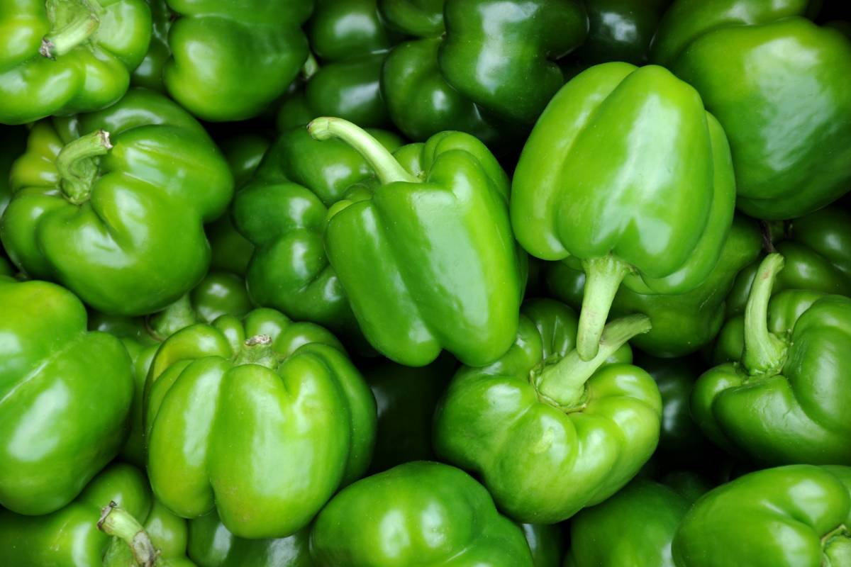 Tips sobre inocuidad alimentaria [julio 2023]