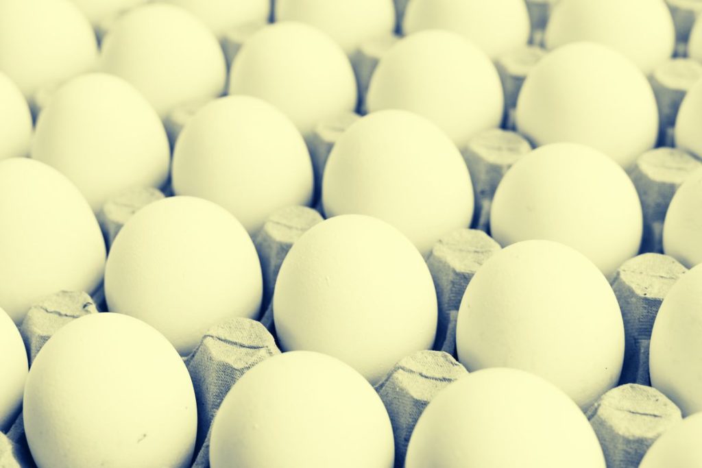 Tips sobre inocuidad alimentaria [septiembre 2023]
