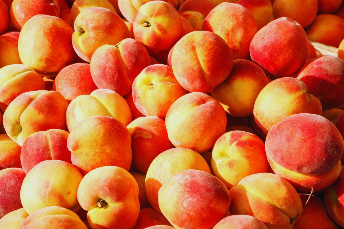 Tips sobre inocuidad alimentaria [octubre 2023]