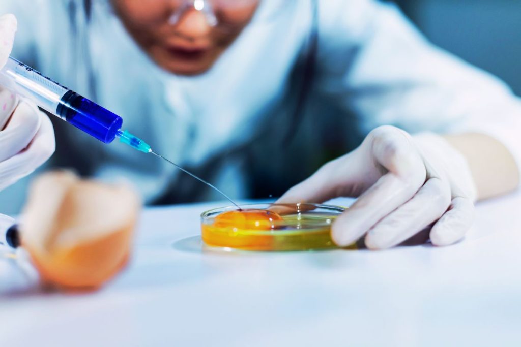 Salmonelosis: qué es, síntomas y prevención