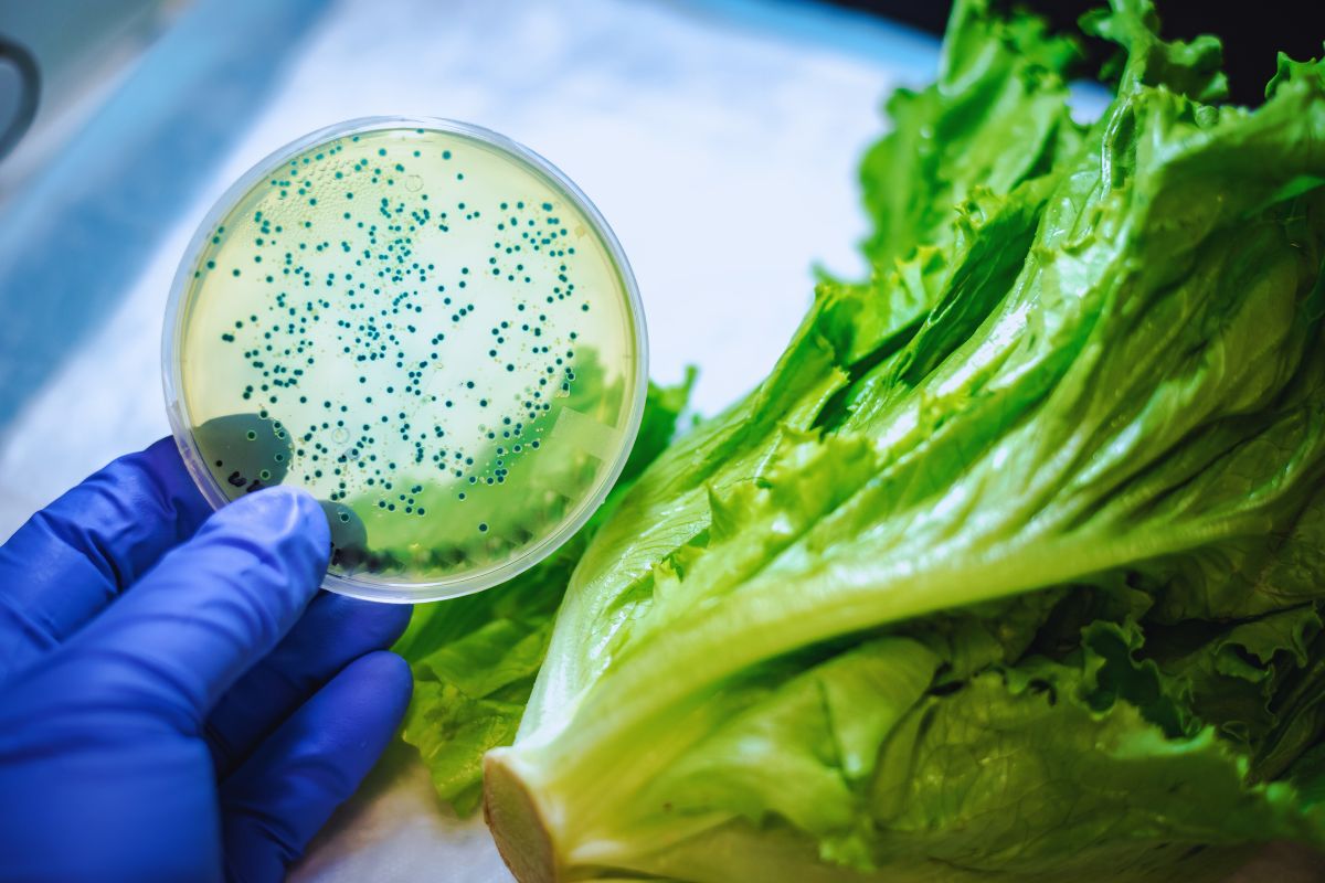 ¿Cómo controlar la contaminación microbiológica en frutas y vegetales?