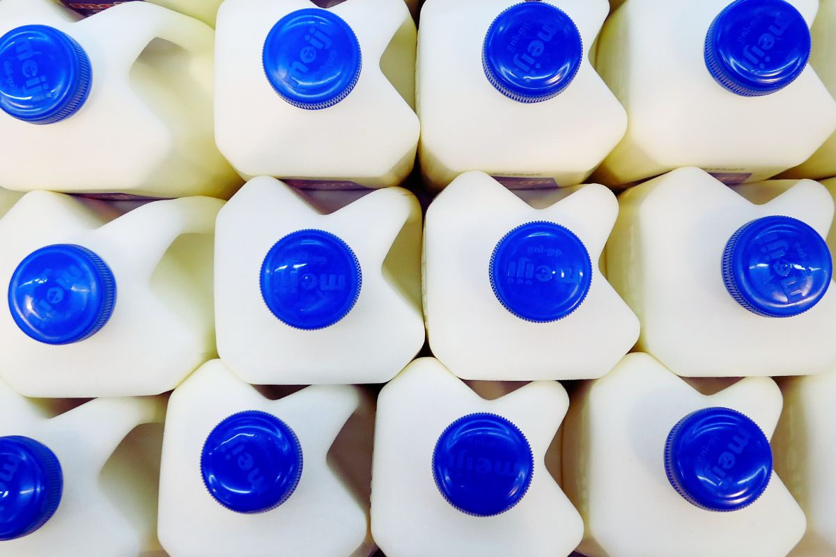 Tips sobre inocuidad alimentaria [marzo 2024]