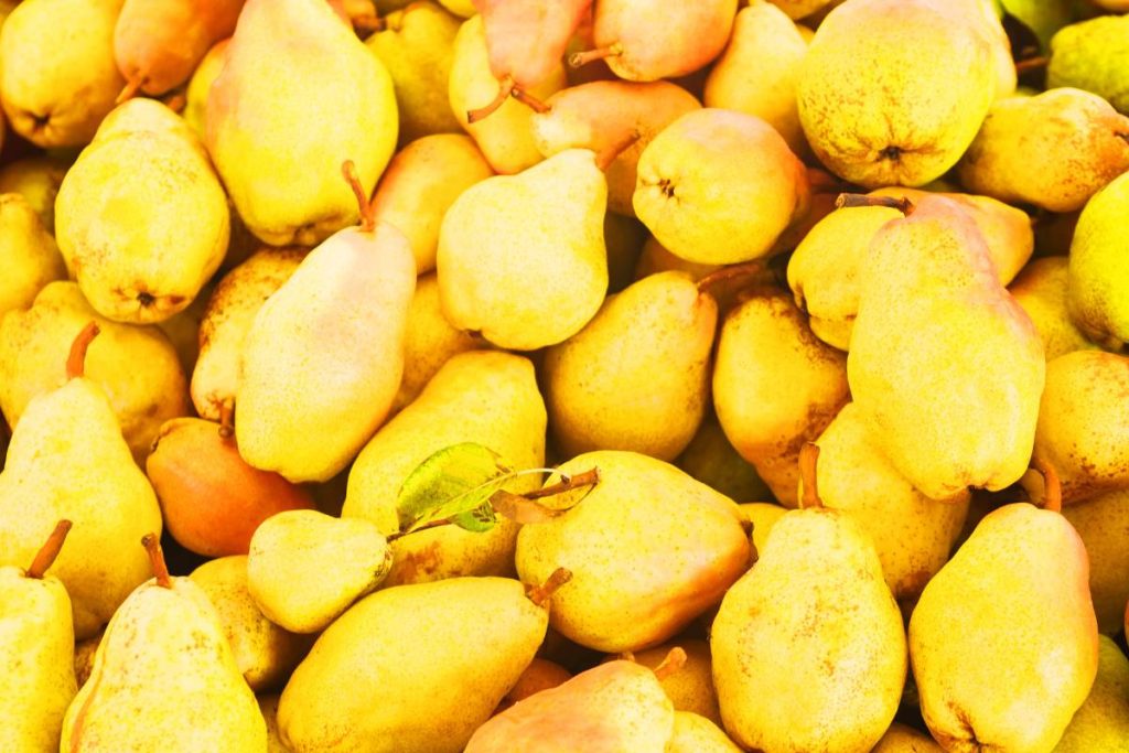 Tips sobre inocuidad alimentaria [abril 2024]