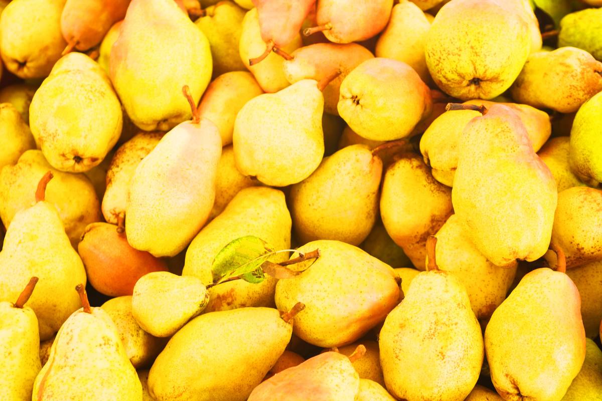 Tips sobre inocuidad alimentaria [abril 2024]
