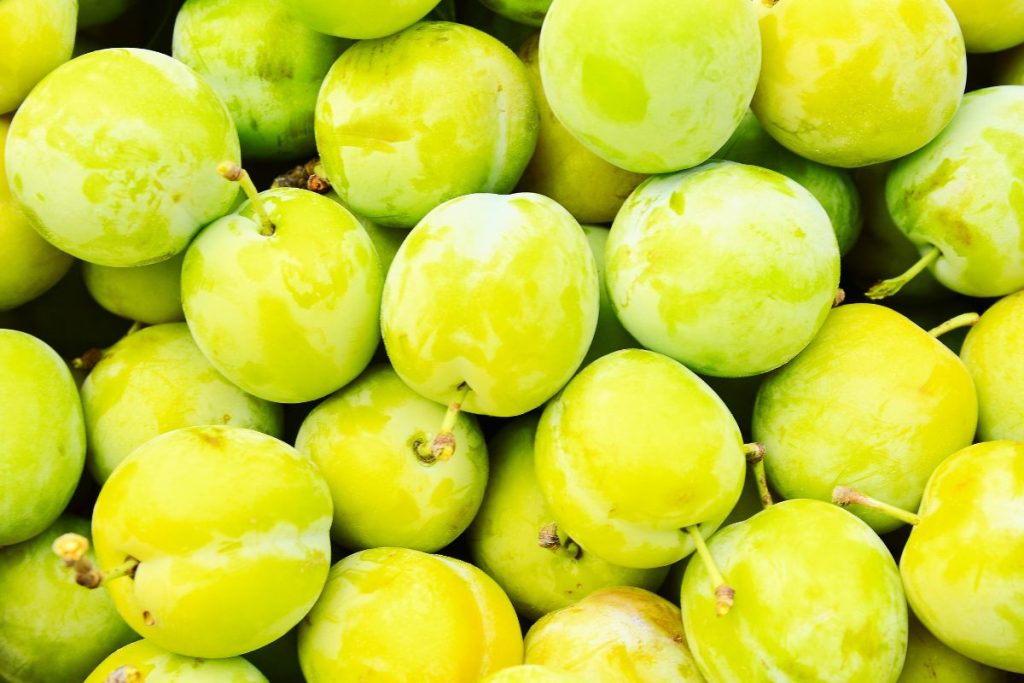 Tips sobre inocuidad alimentaria [mayo 2024]