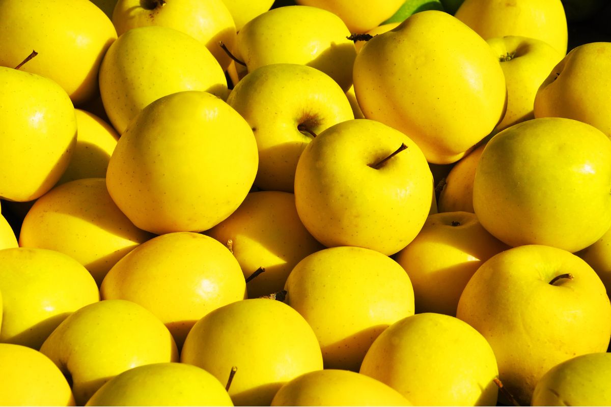 Tips sobre inocuidad alimentaria [junio 2024]