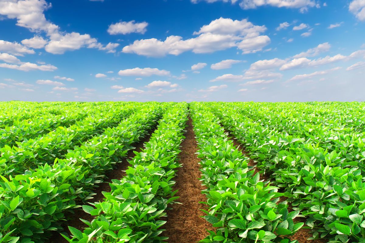 Sobre sostenibilidad en la cadena de suministro de alimentos de la UE: Normativa en el horizonte