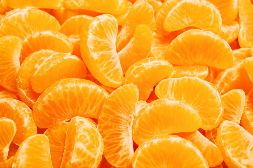 Tips sobre inocuidad alimentaria [septiembre 2024]