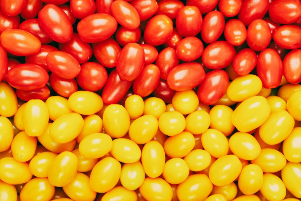 Tips sobre inocuidad alimentaria [octubre 2024]
