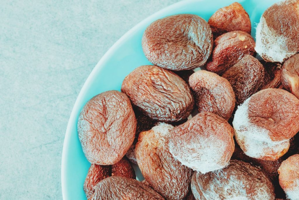 La presencia de micotoxinas en alimentos y piensos