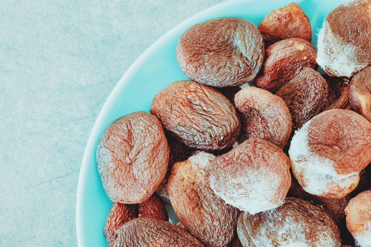 La presencia de micotoxinas en alimentos y piensos