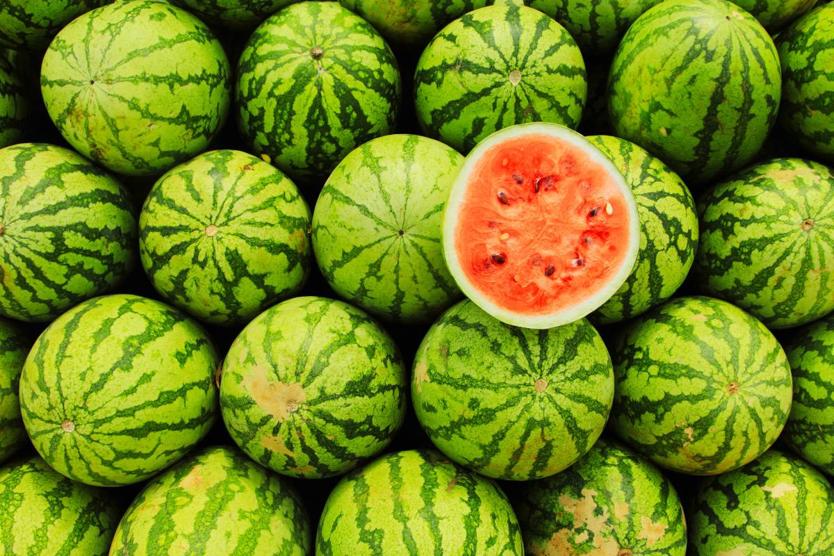 Tips sobre inocuidad alimentaria [julio 2025]