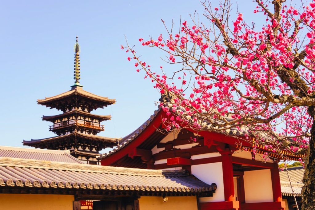 Metodología 5s. De Japón a la Argentina, traduciendo conceptos