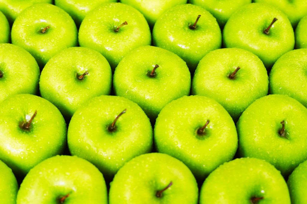 Tips sobre inocuidad alimentaria [octubre 2025]